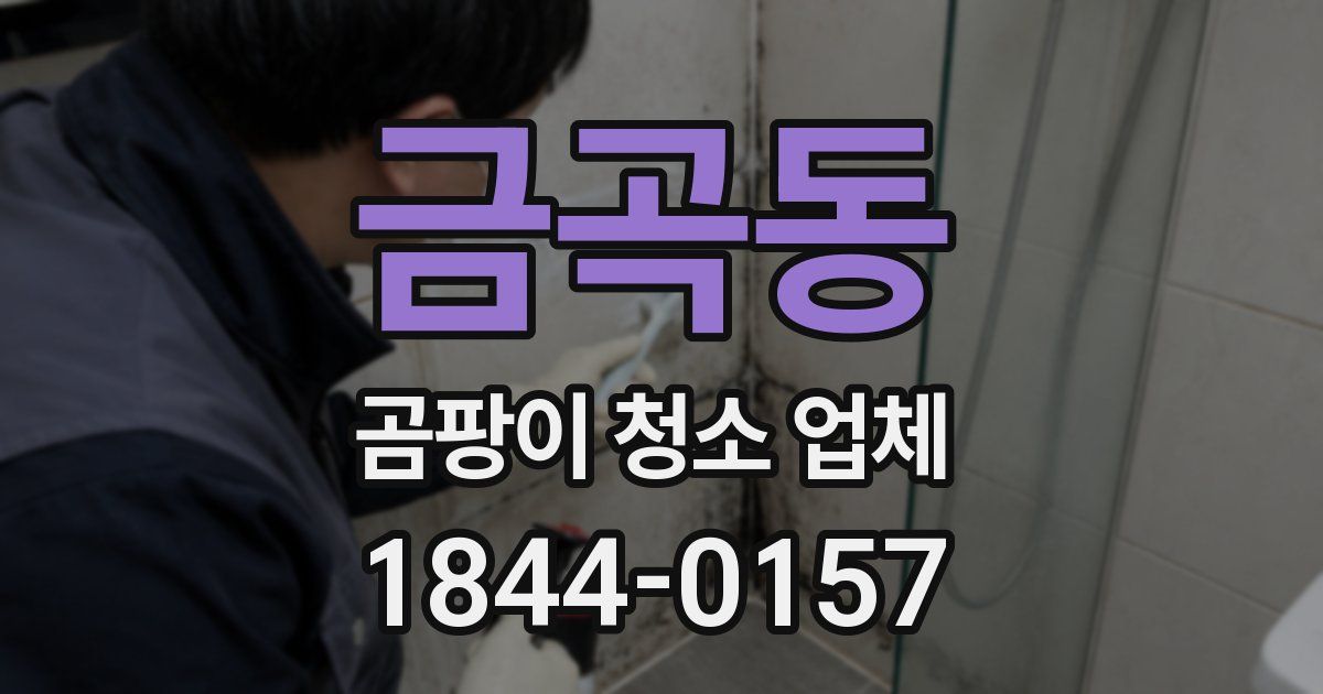 금곡동 곰팡이 청소 업체