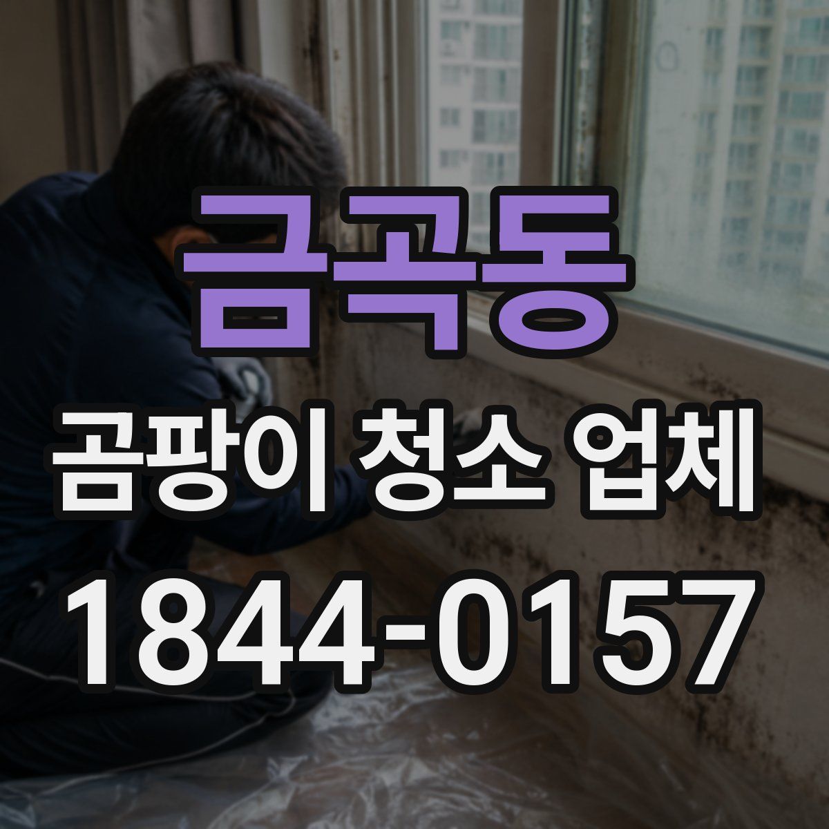 금곡동 곰팡이 청소 업체