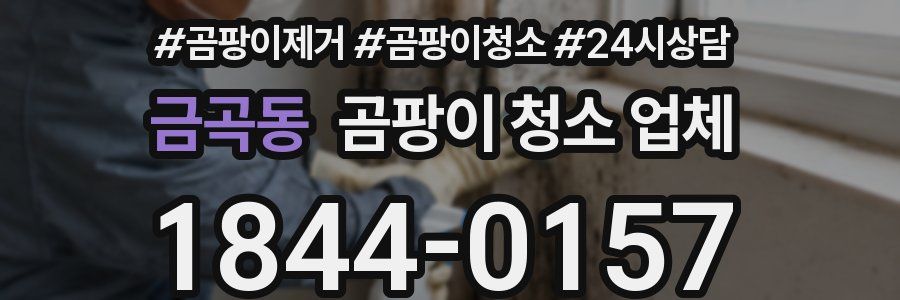 금곡동 곰팡이 청소 업체