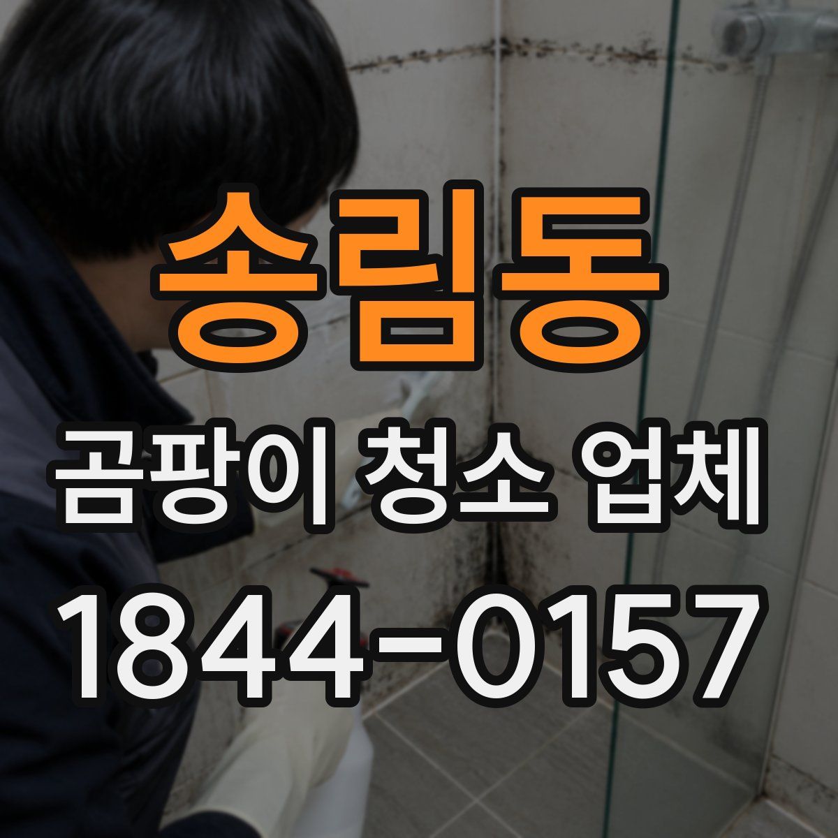 송림동 곰팡이 청소 업체