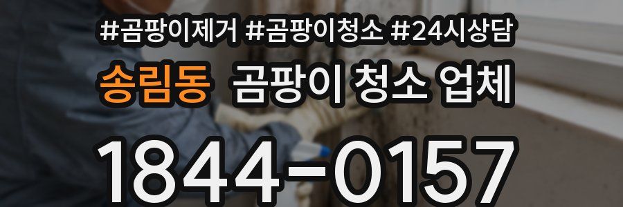 송림동 곰팡이 청소 업체