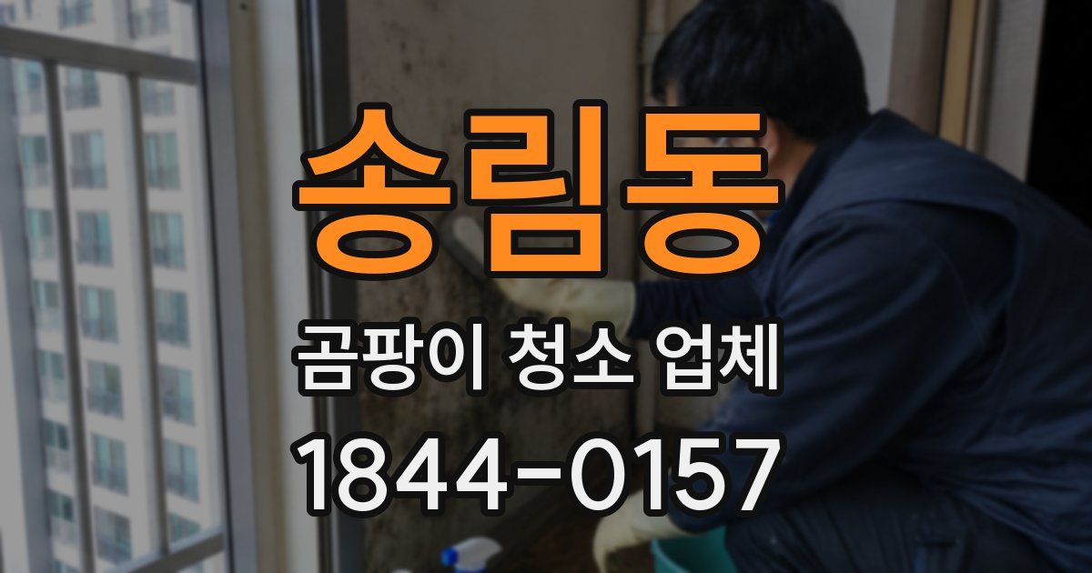 송림동 곰팡이 청소 업체