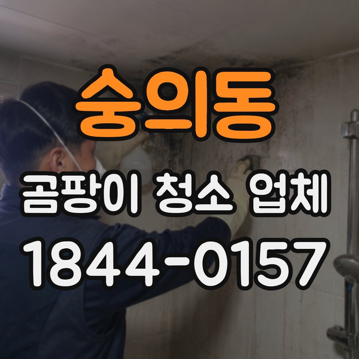 숭의동 곰팡이 청소 업체
