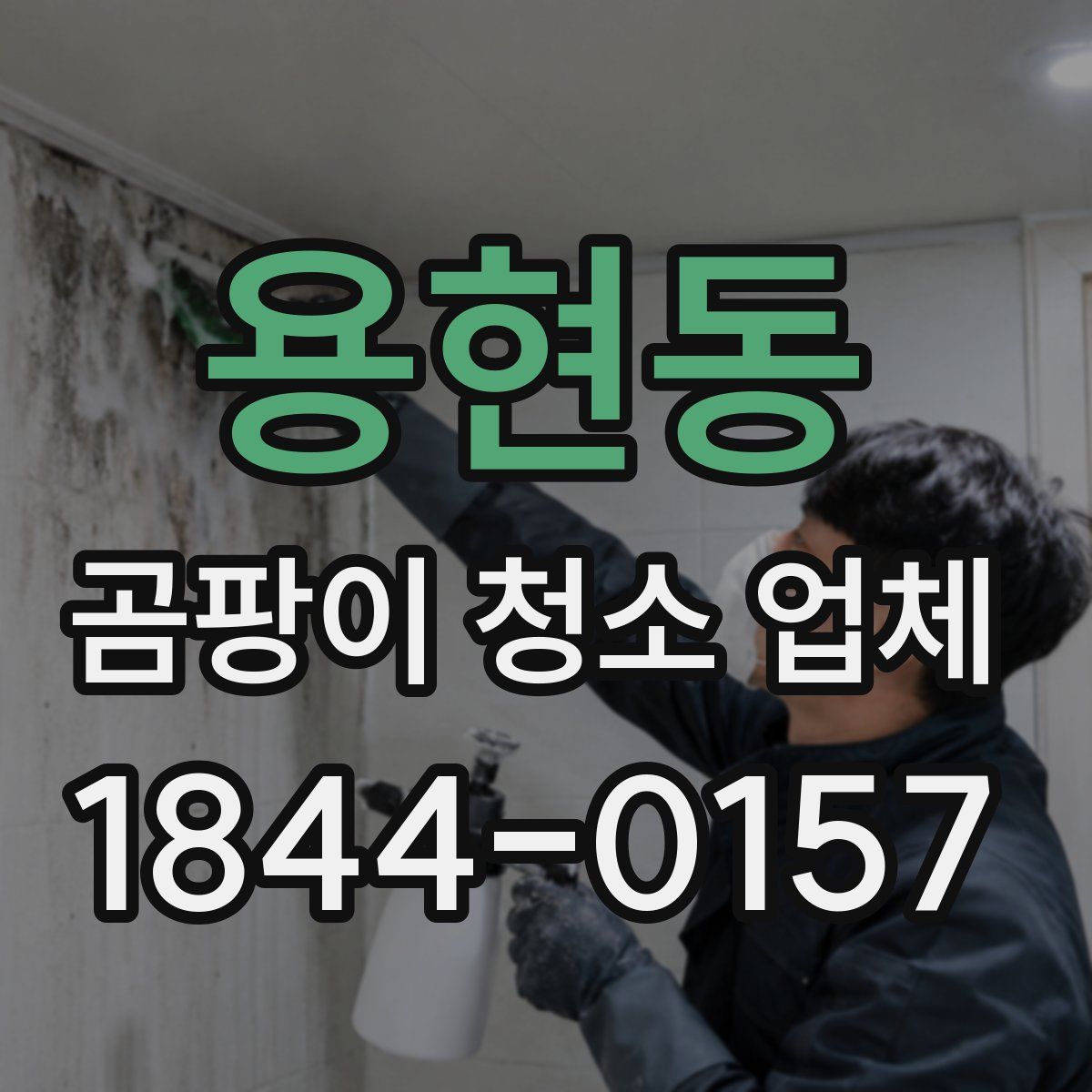 용현동 곰팡이 청소 업체