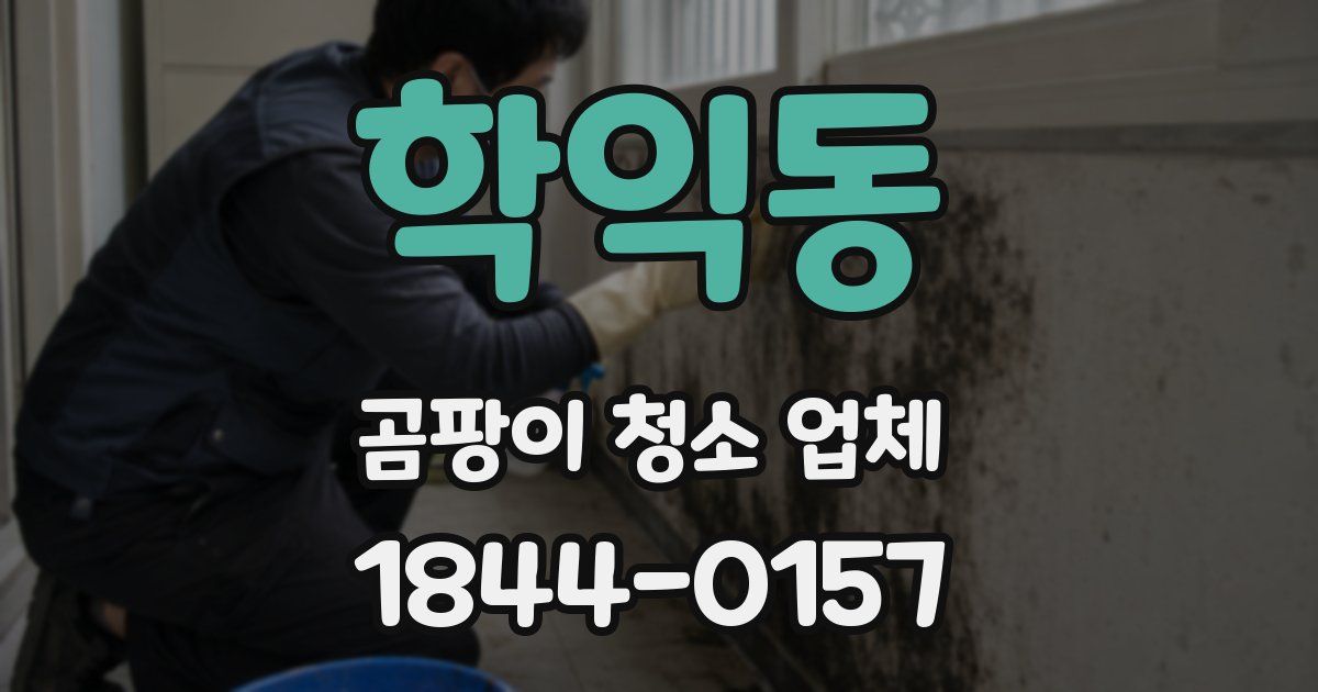 학익동 곰팡이 청소 업체