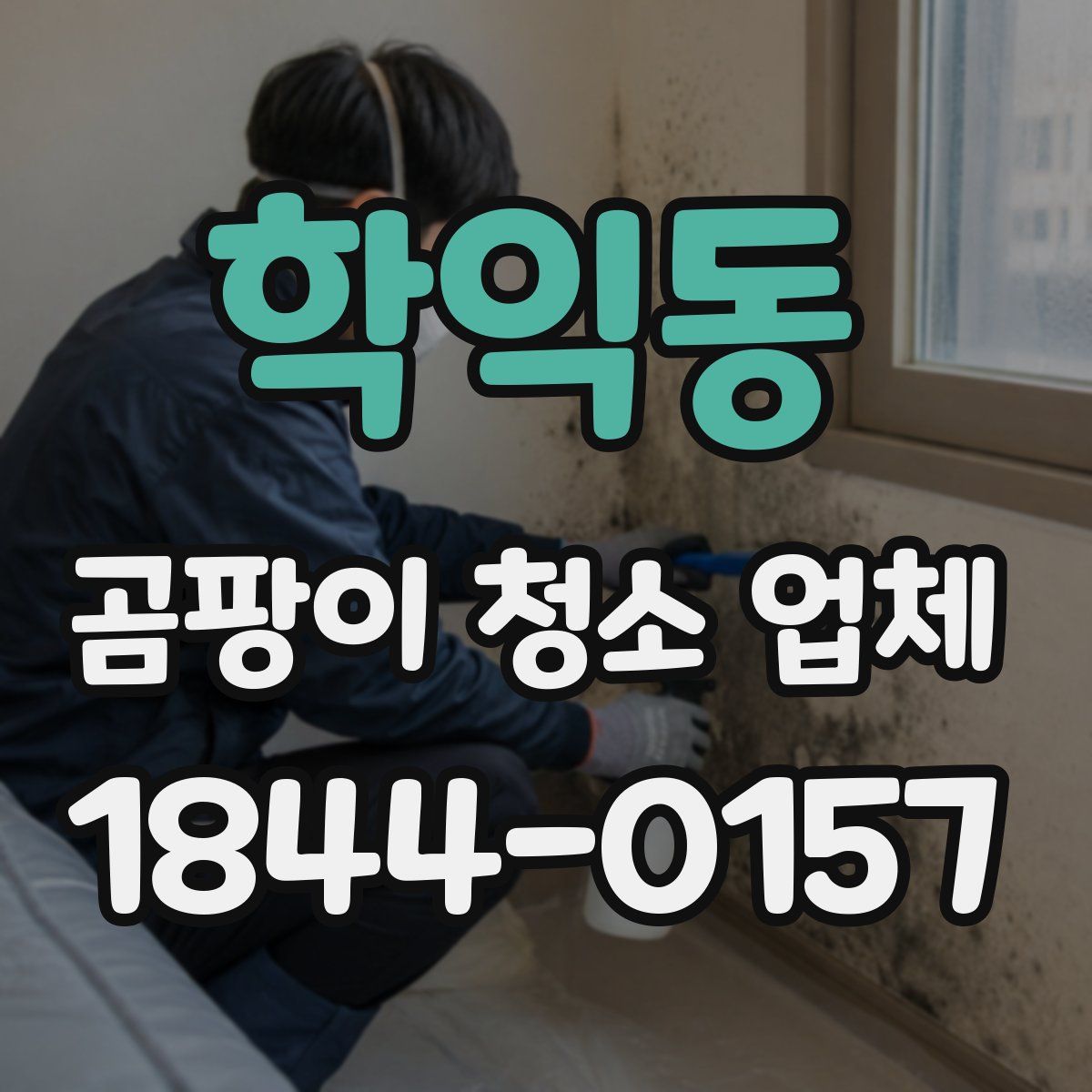 학익동 곰팡이 청소 업체