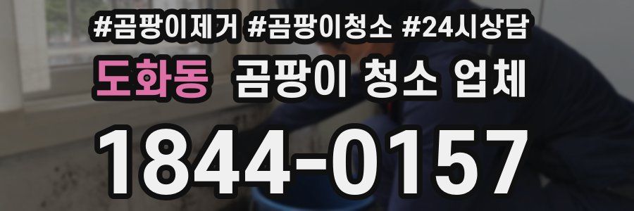 도화동 곰팡이 청소 업체