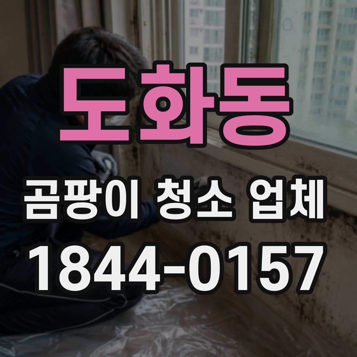 도화동 곰팡이 청소 업체
