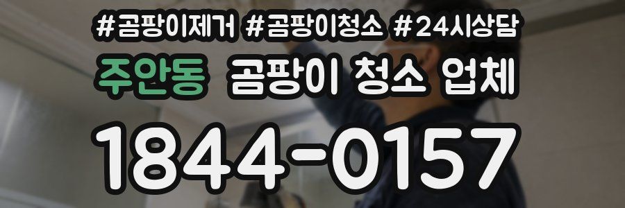 주안동 곰팡이 청소 업체