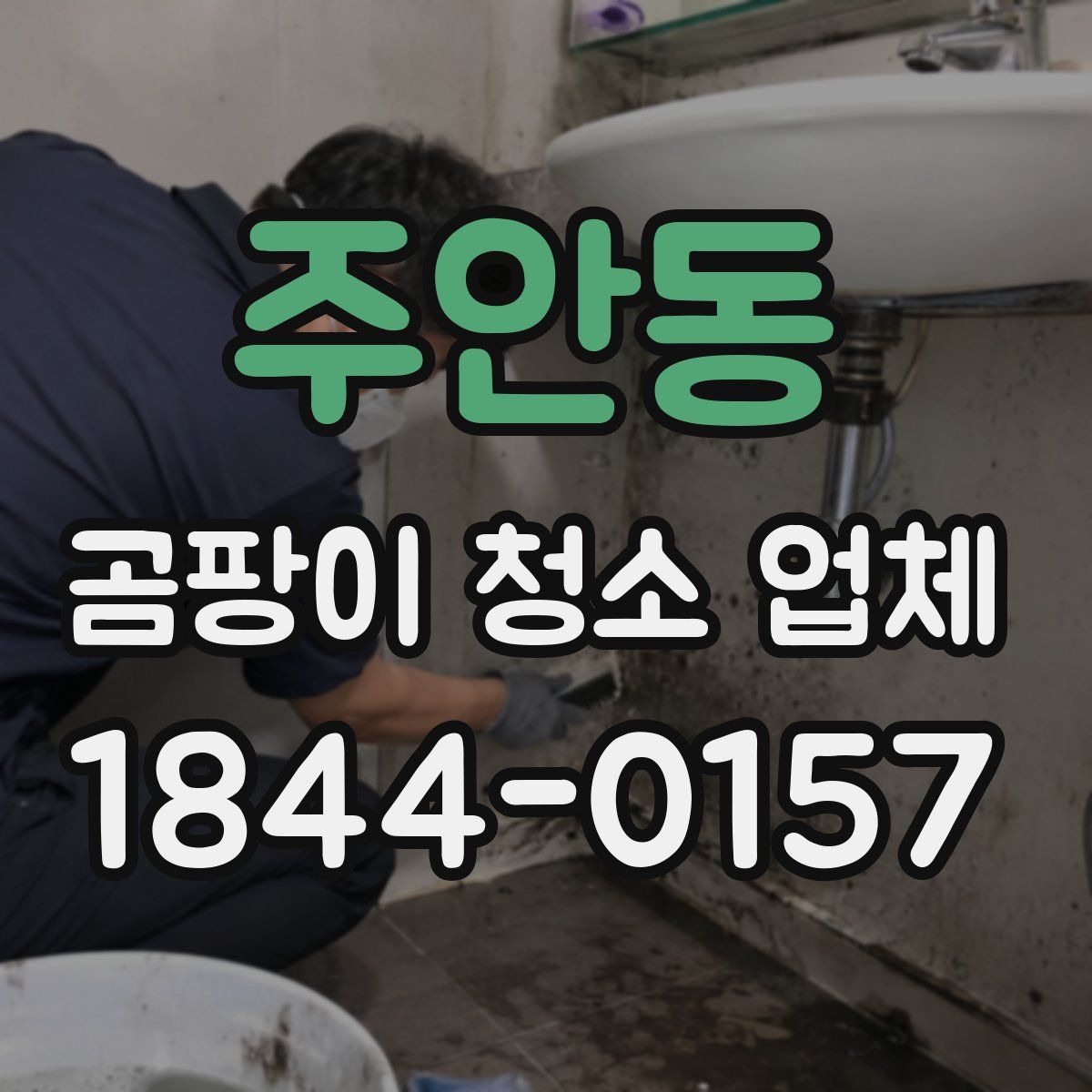 주안동 곰팡이 청소 업체