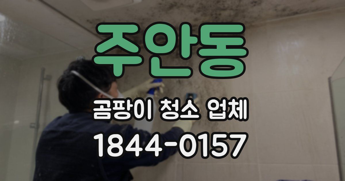 주안동 곰팡이 청소 업체