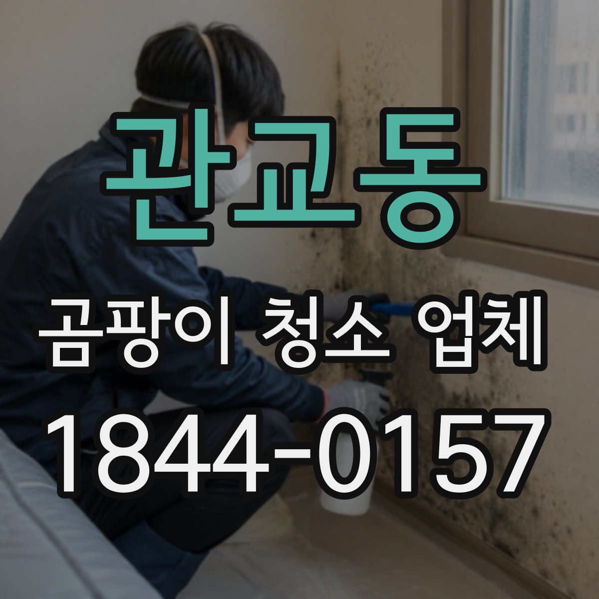 관교동 곰팡이 청소 업체