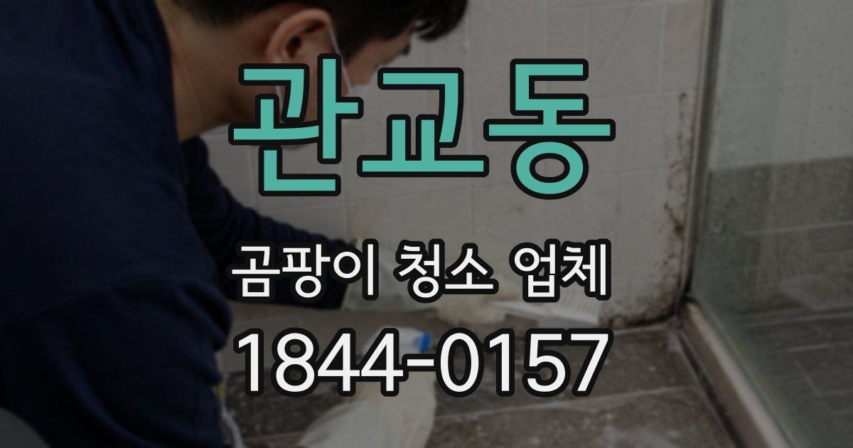 관교동 곰팡이 청소 업체