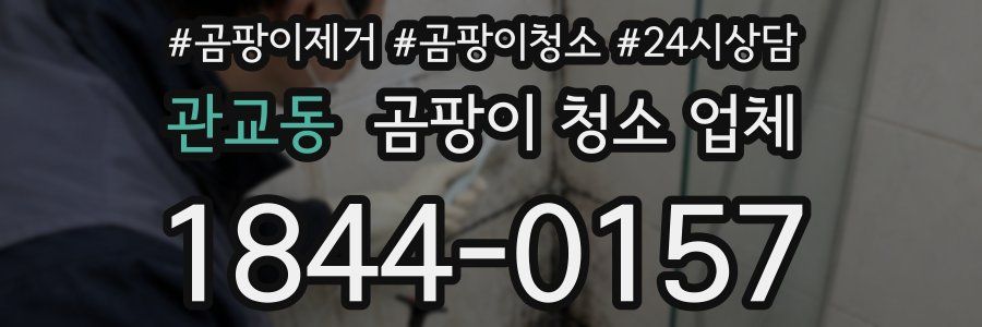 관교동 곰팡이 청소 업체