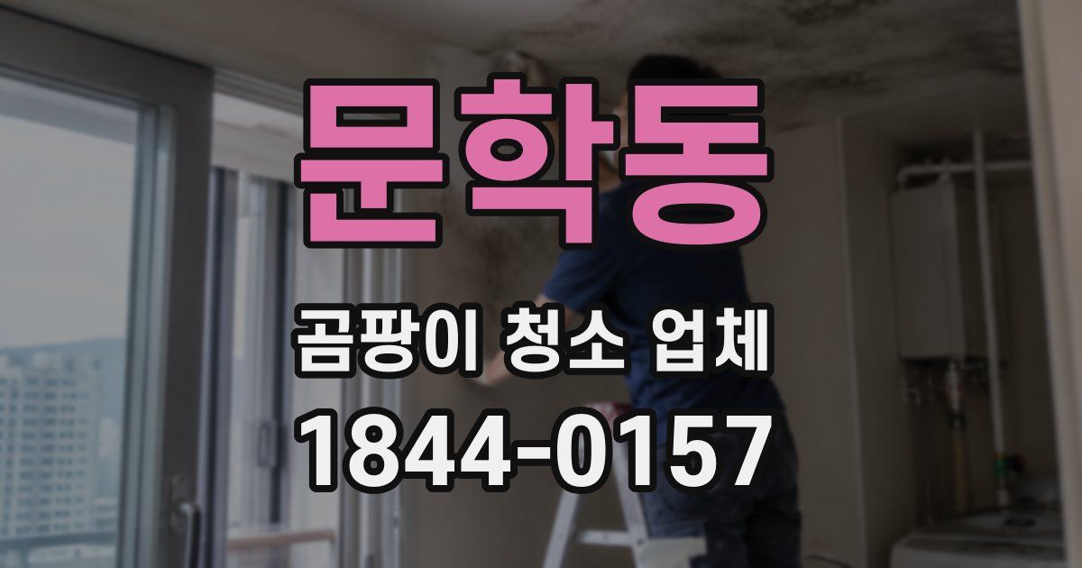 문학동 곰팡이 청소 업체