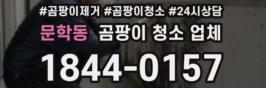 문학동 곰팡이 청소 업체