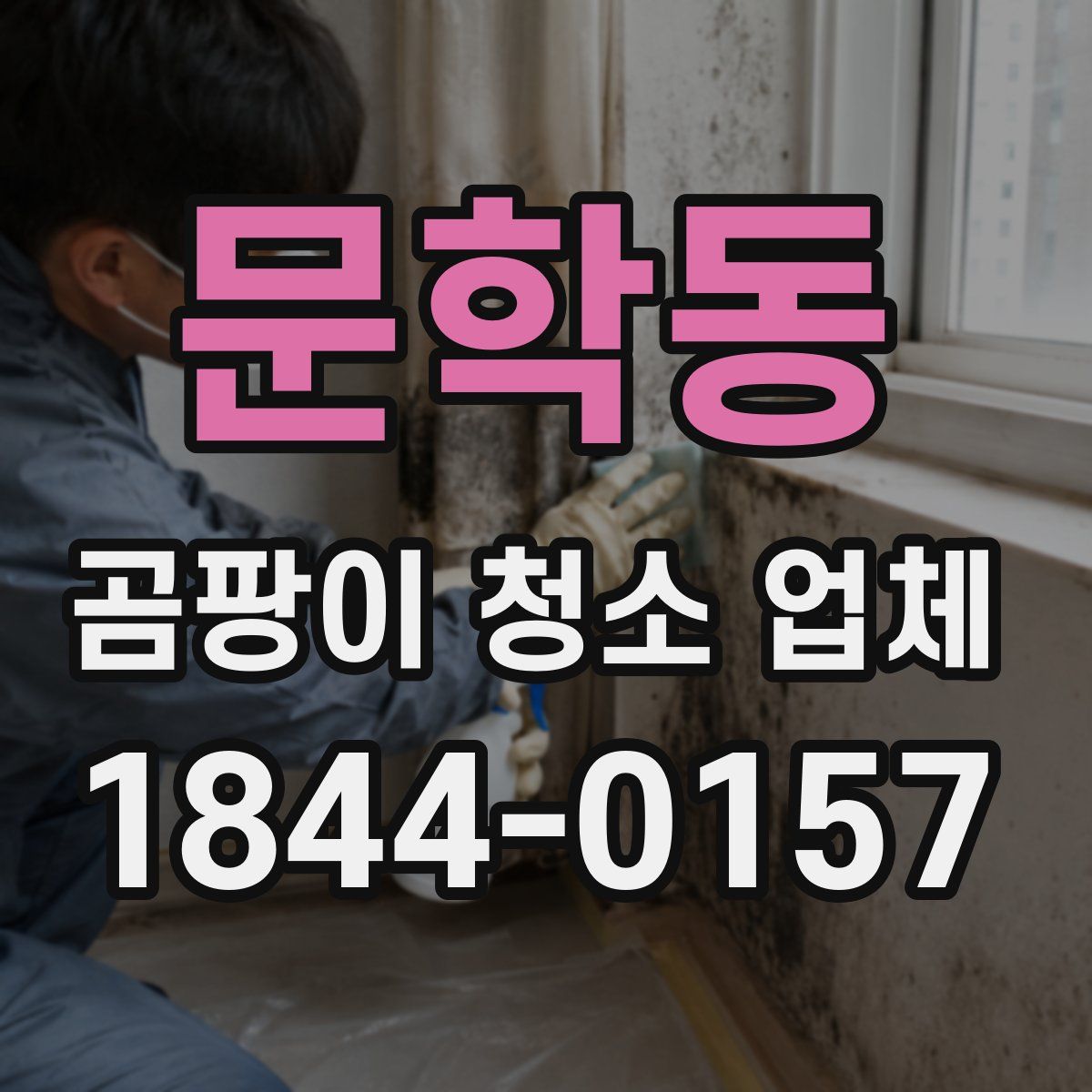 문학동 곰팡이 청소 업체