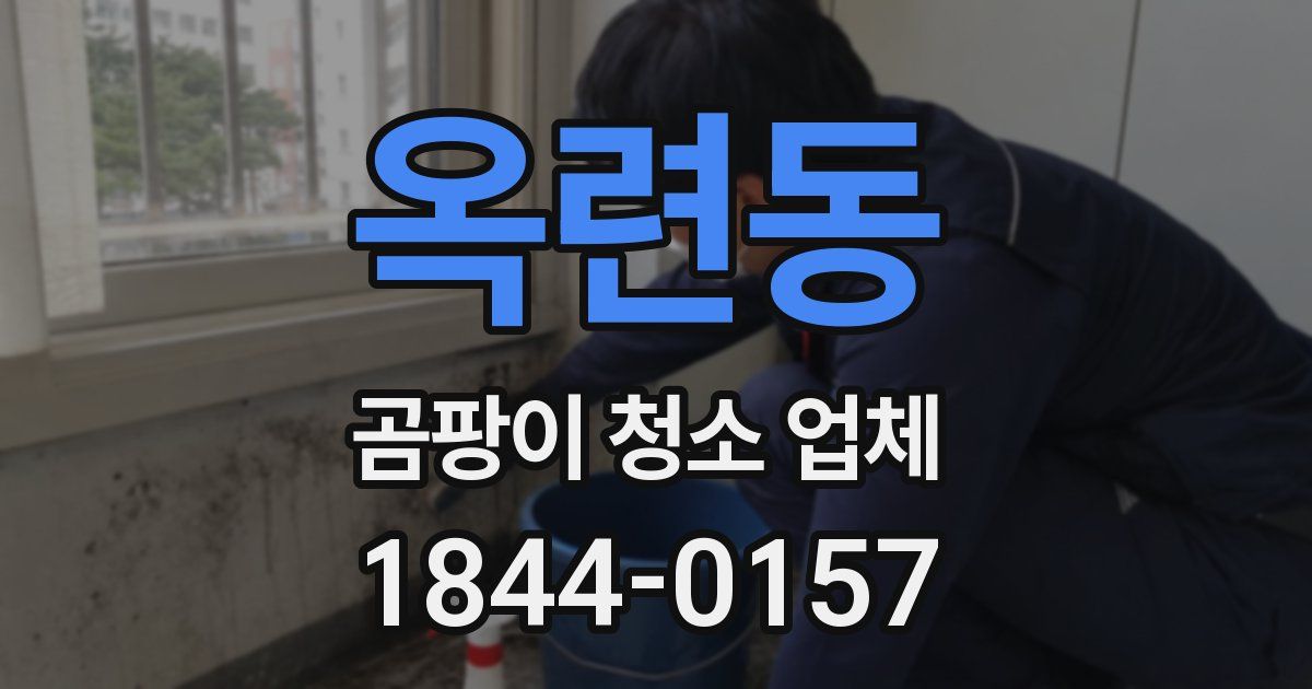 옥련동 곰팡이 청소 업체