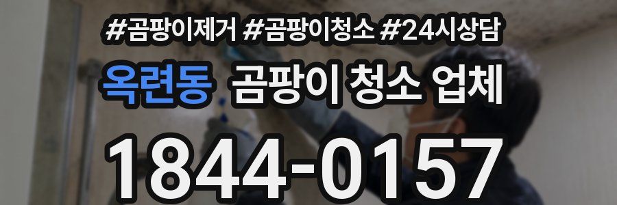 옥련동 곰팡이 청소 업체