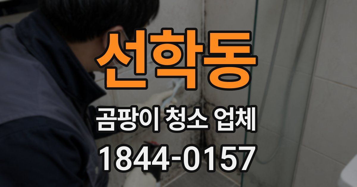 선학동 곰팡이 청소 업체