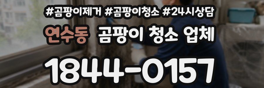 연수동 곰팡이 청소 업체
