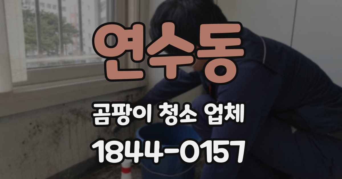 연수동 곰팡이 청소 업체