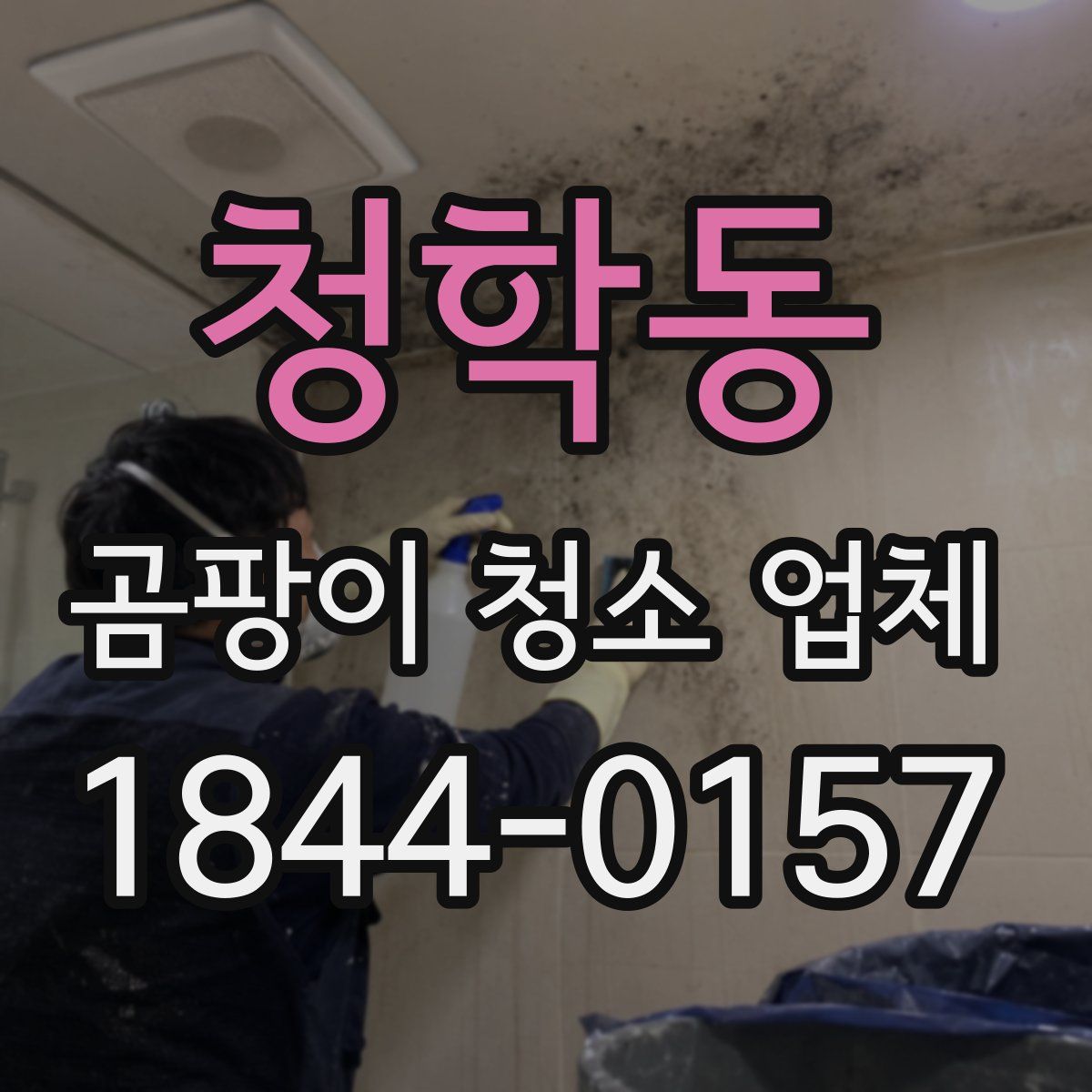 청학동 곰팡이 청소 업체