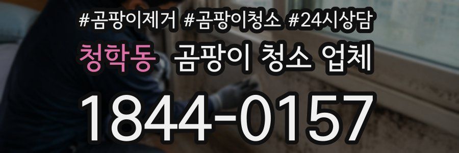 청학동 곰팡이 청소 업체