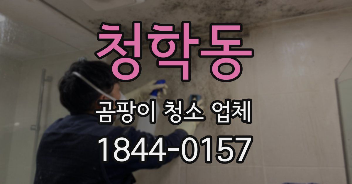 청학동 곰팡이 청소 업체