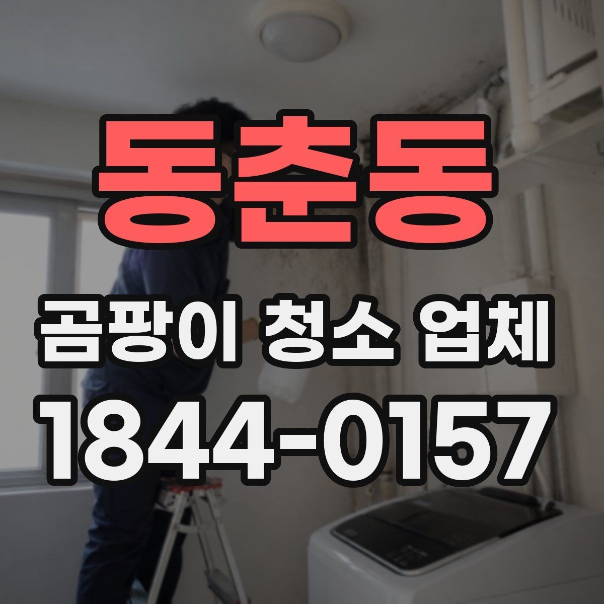 동춘동 곰팡이 청소 업체 제거제와 장비를 고를 때 보는 기준