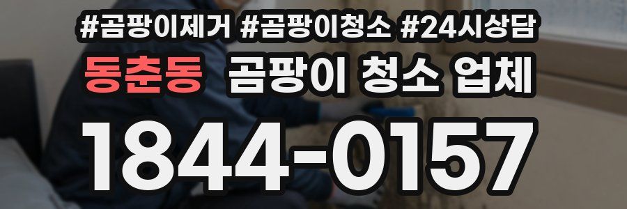 동춘동 곰팡이 청소 업체