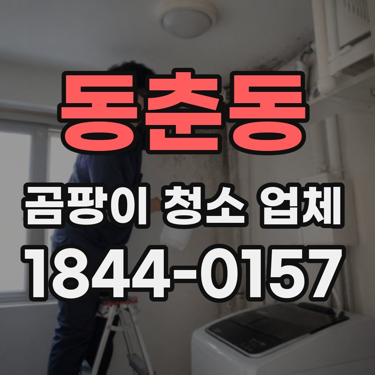 동춘동 곰팡이 청소 업체