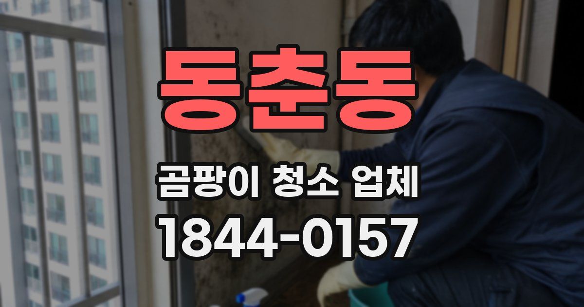 동춘동 곰팡이 청소 업체