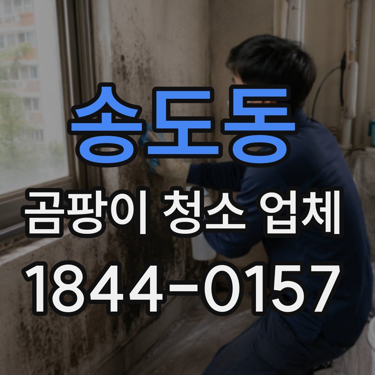 송도동 곰팡이 청소 업체
