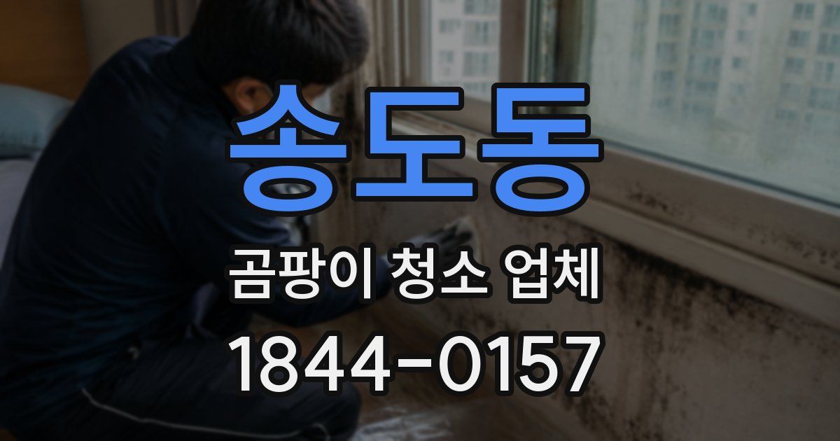 송도동 곰팡이 청소 업체