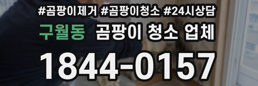 구월동 곰팡이 청소 업체