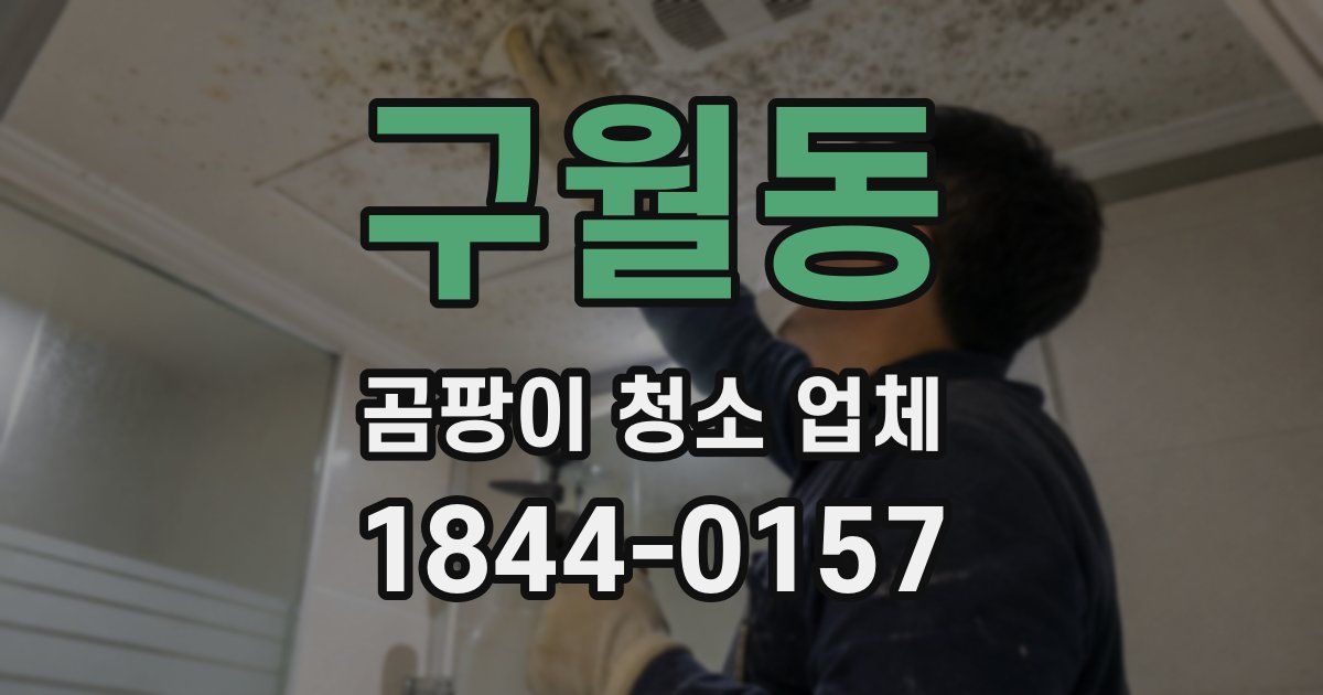 구월동 곰팡이 청소 업체
