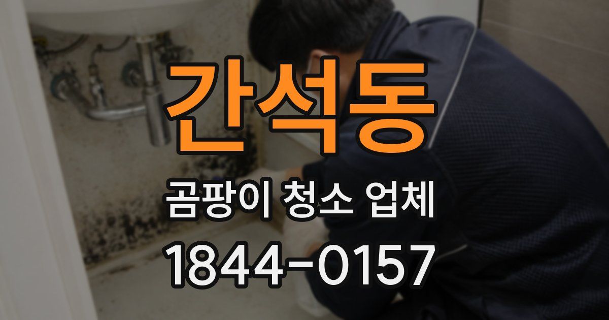 간석동 곰팡이 청소 업체