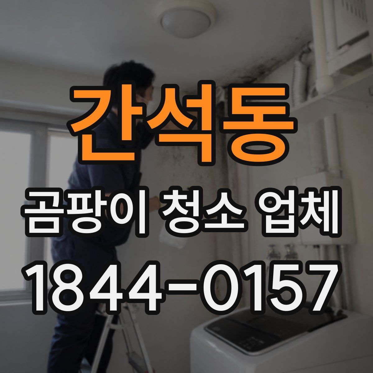 간석동 곰팡이 청소 업체
