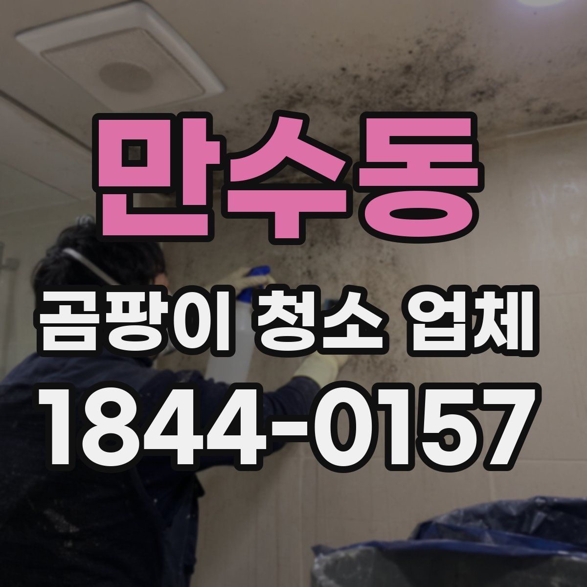 만수동 곰팡이 청소 업체