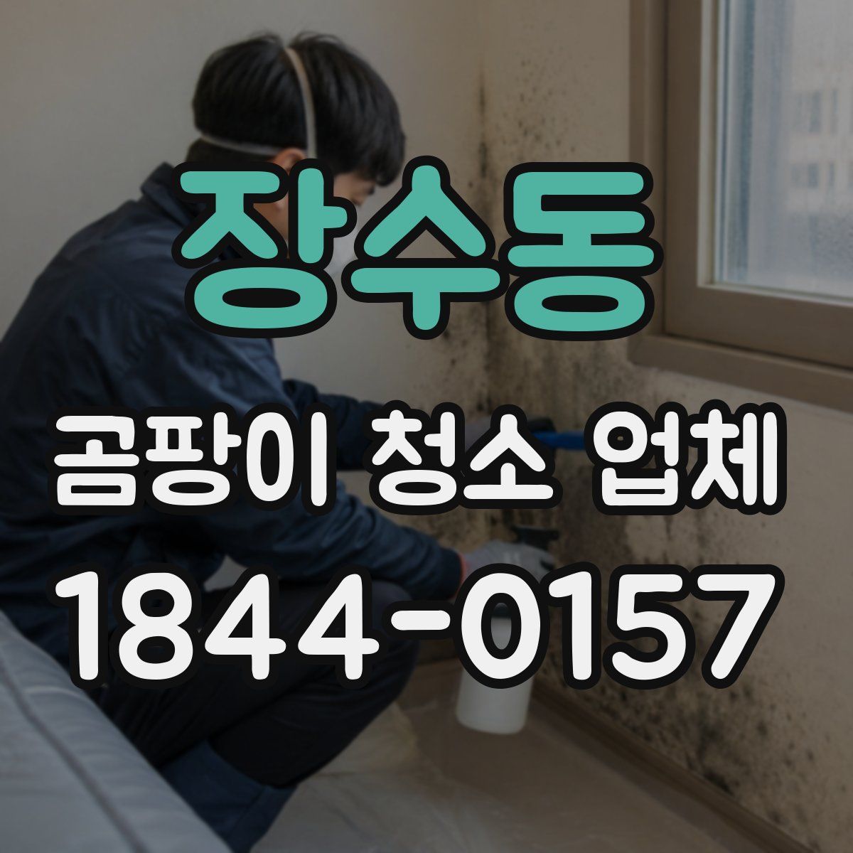 장수동 곰팡이 청소 업체