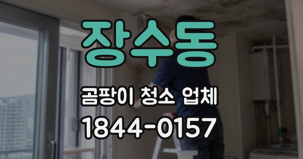 장수동 곰팡이 청소 업체