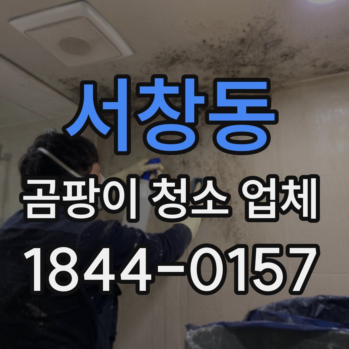 서창동 곰팡이 청소 업체