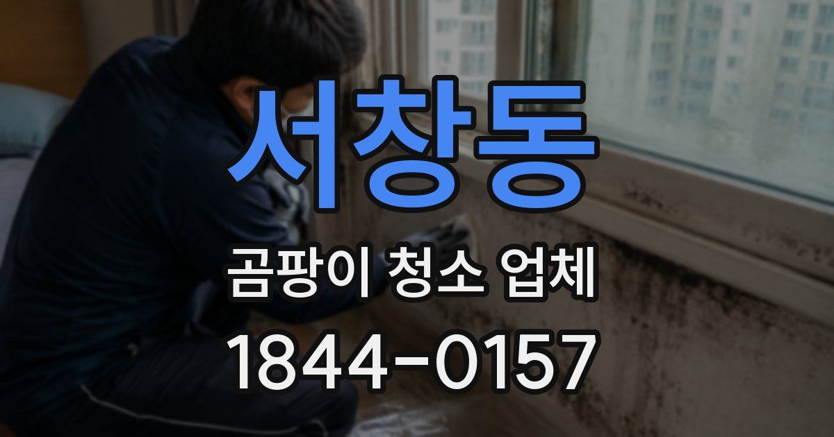 서창동 곰팡이 청소 업체