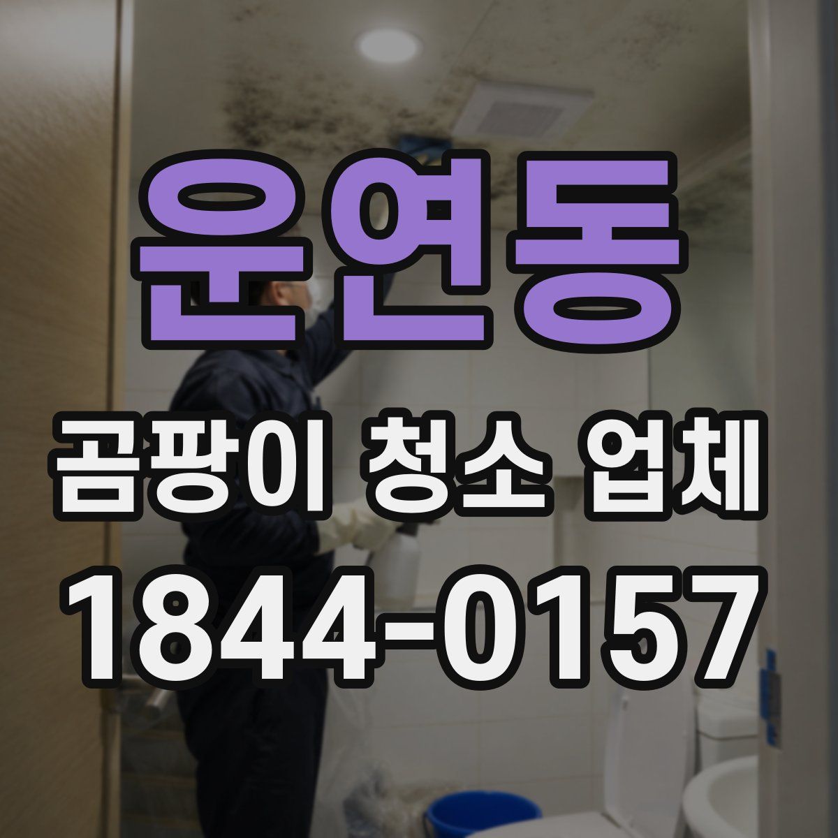 운연동 곰팡이 청소 업체