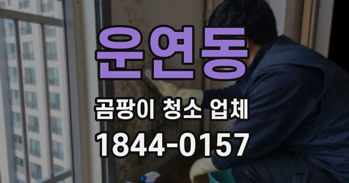 운연동 곰팡이 청소 업체