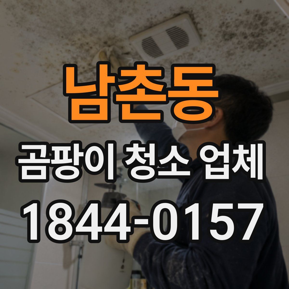 남촌동 곰팡이 청소 업체