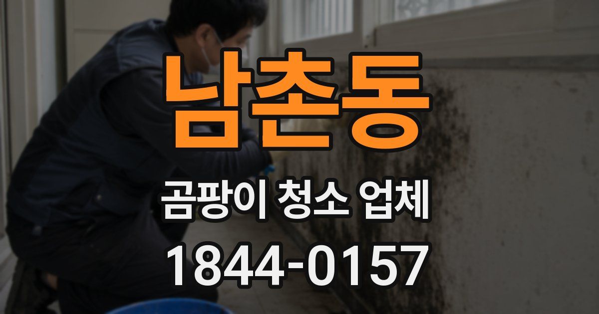 남촌동 곰팡이 청소 업체