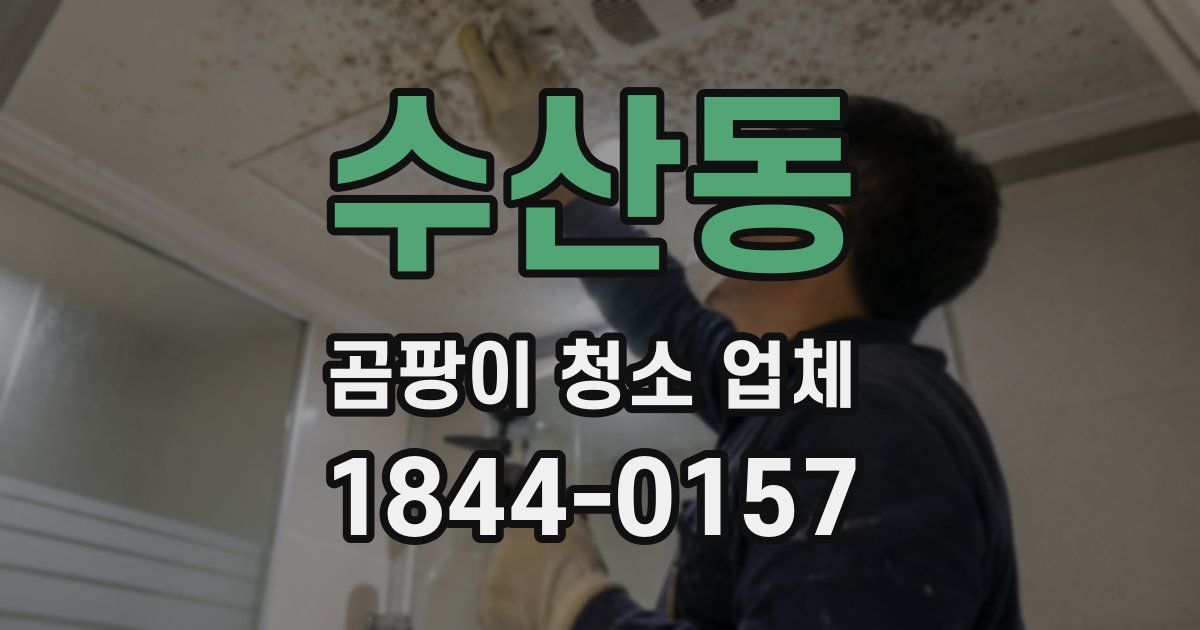 수산동 곰팡이 청소 업체
