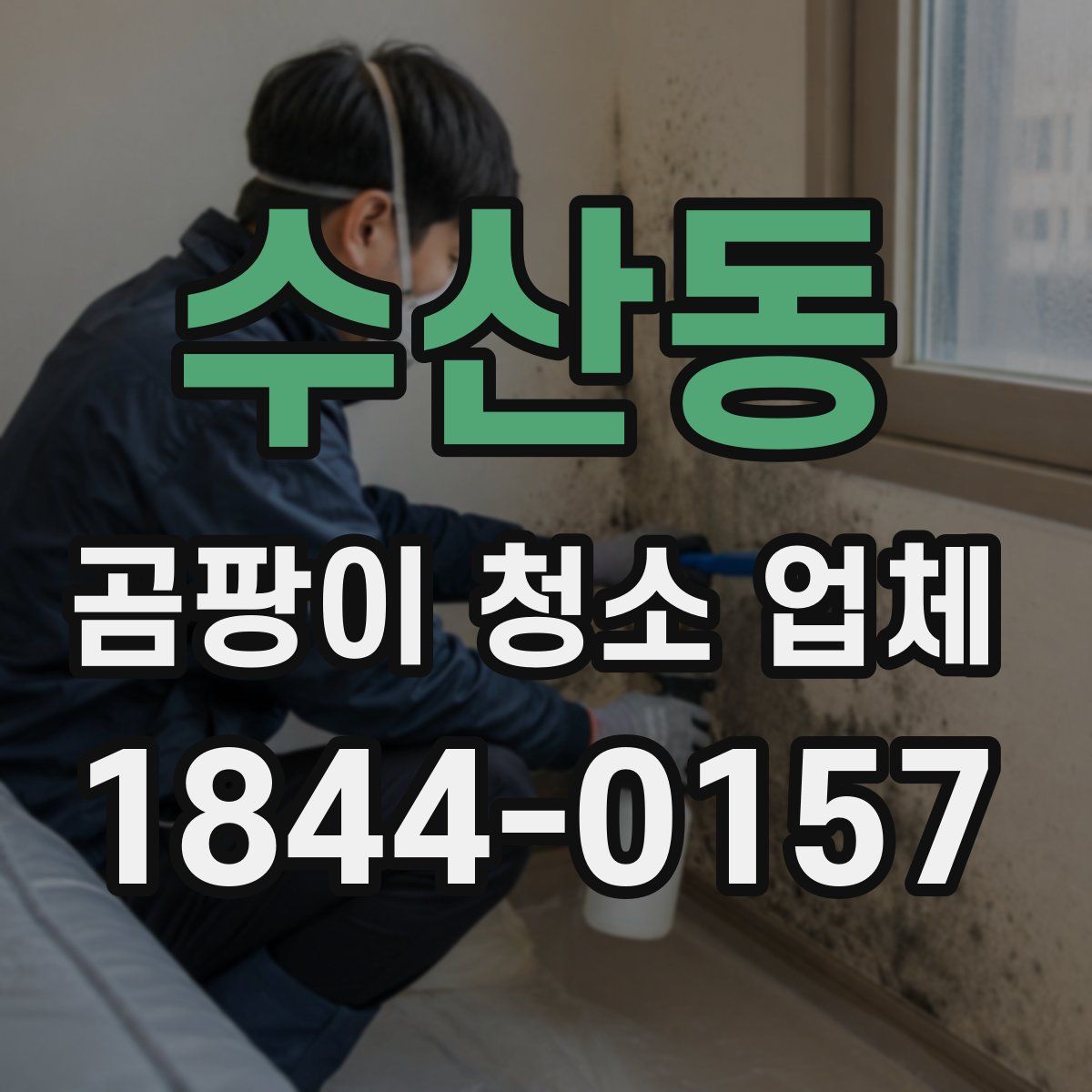 수산동 곰팡이 청소 업체